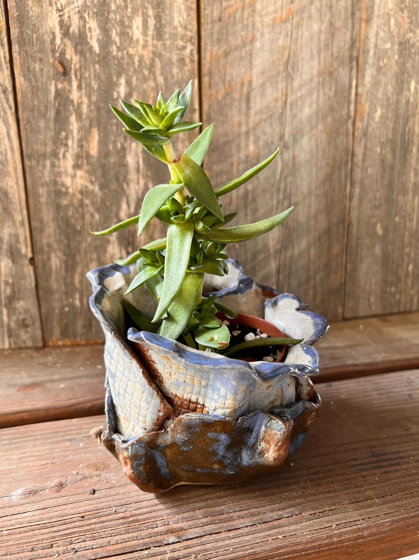 Vase In Vase Planter - Blue Matte