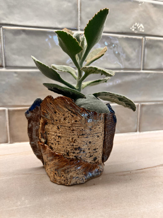 GOOD EARTH Planter - Winter Wood