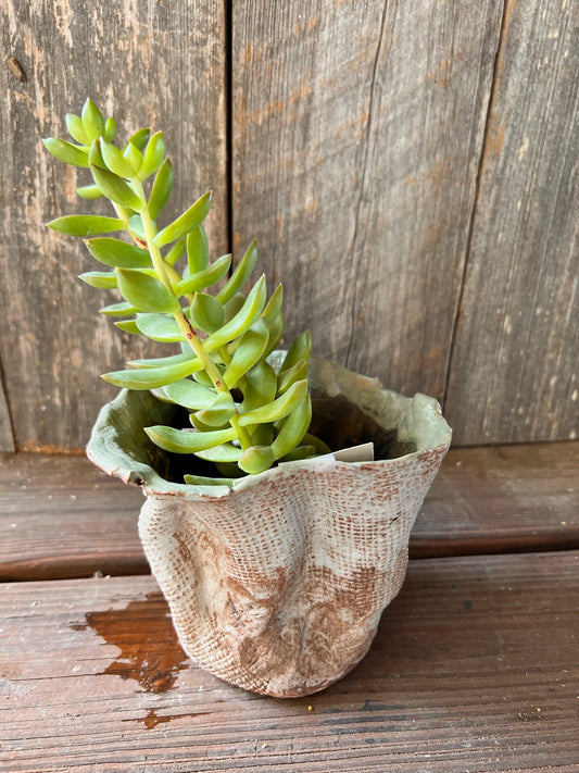 Chalk White Fold Planter - Green Rim