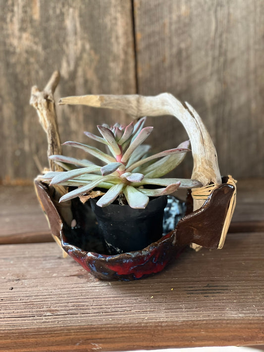 Bright Blue Planter - With Red