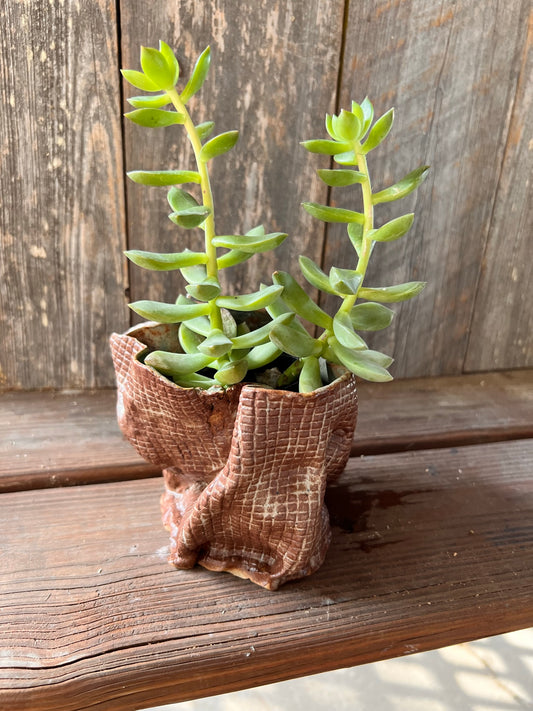 Brown Burlap Fold Planter