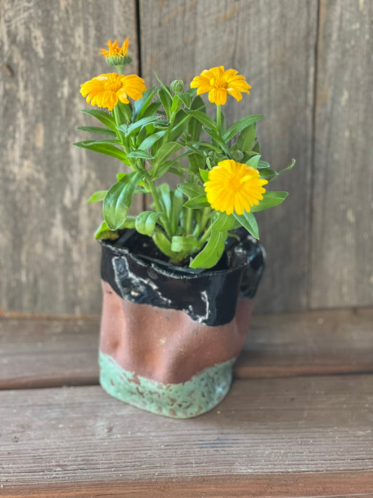 Obsidian Planter