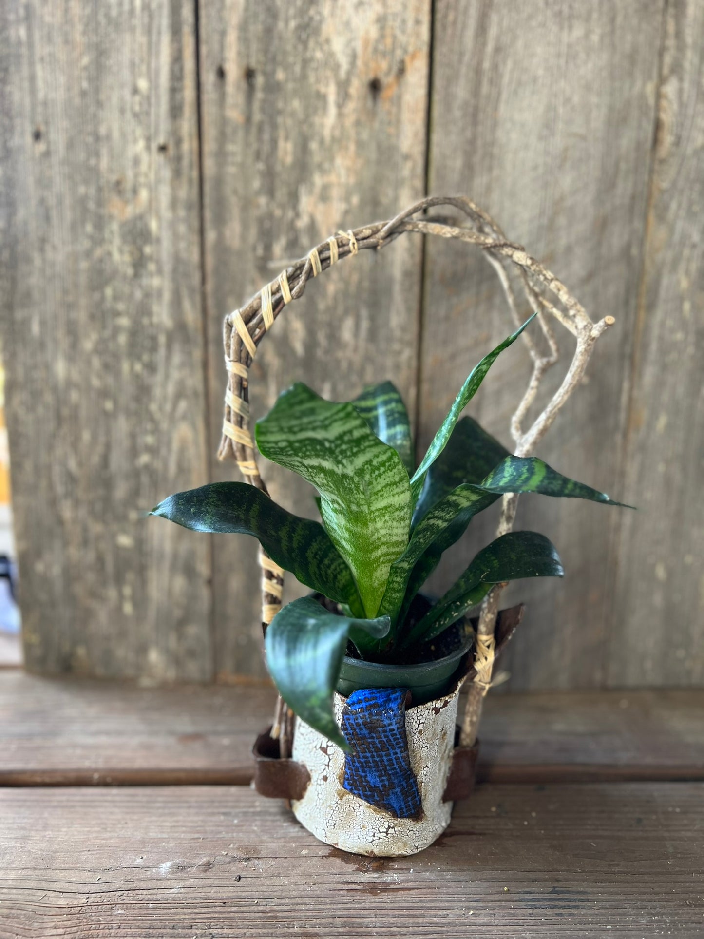 Crackled Can Planter - Bright Blue