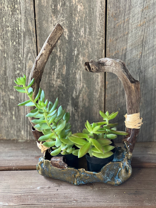 Dumbo Planter - Blue