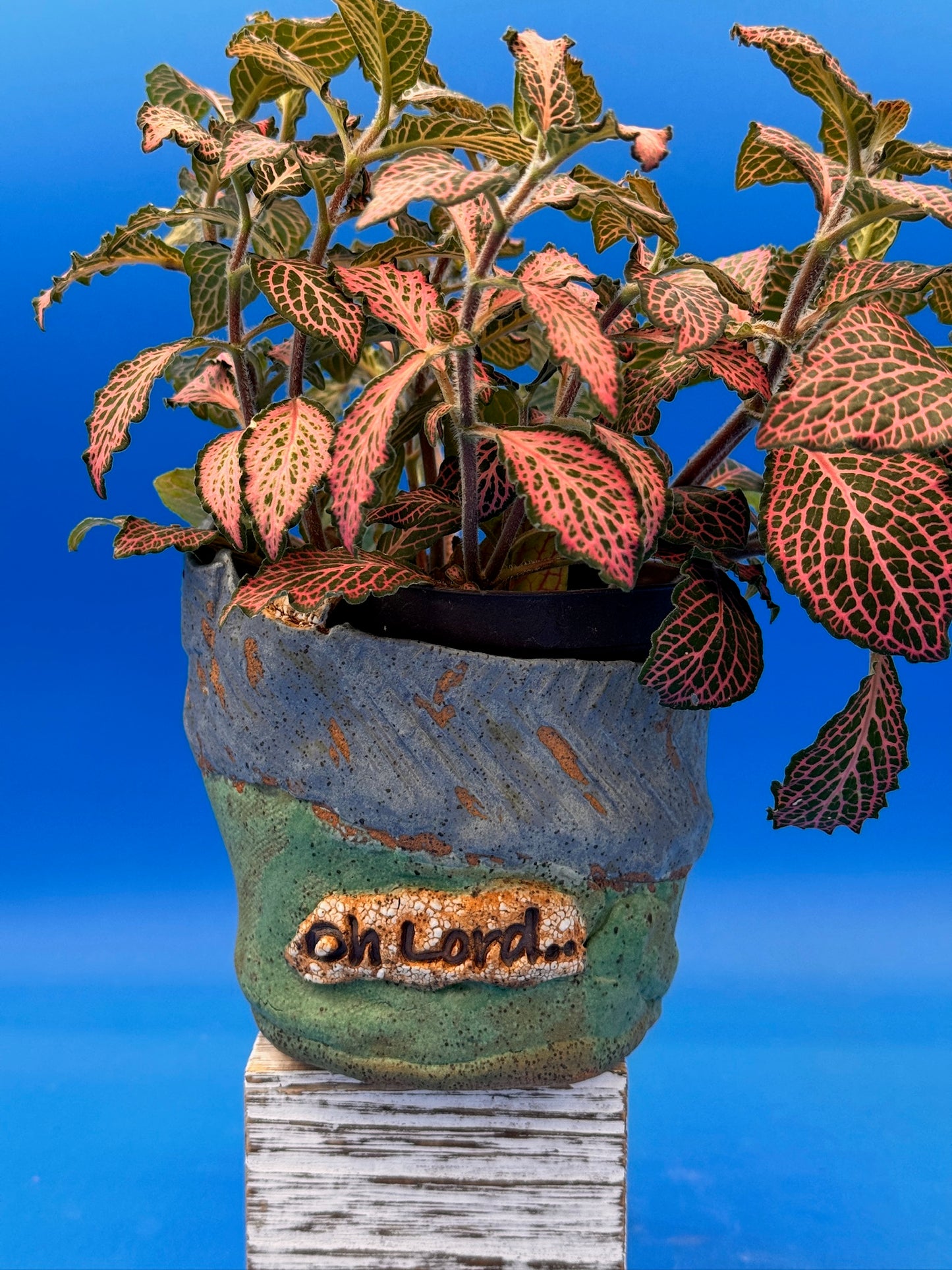 Rustic two-toned earthy Planter