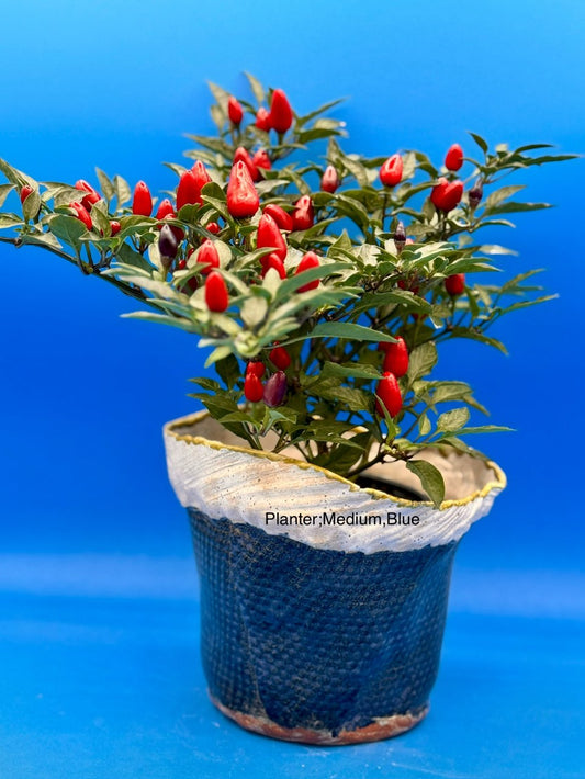 Planter - Medium